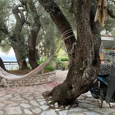Ionian Melody Aparthotel Никиана Екстериор снимка
